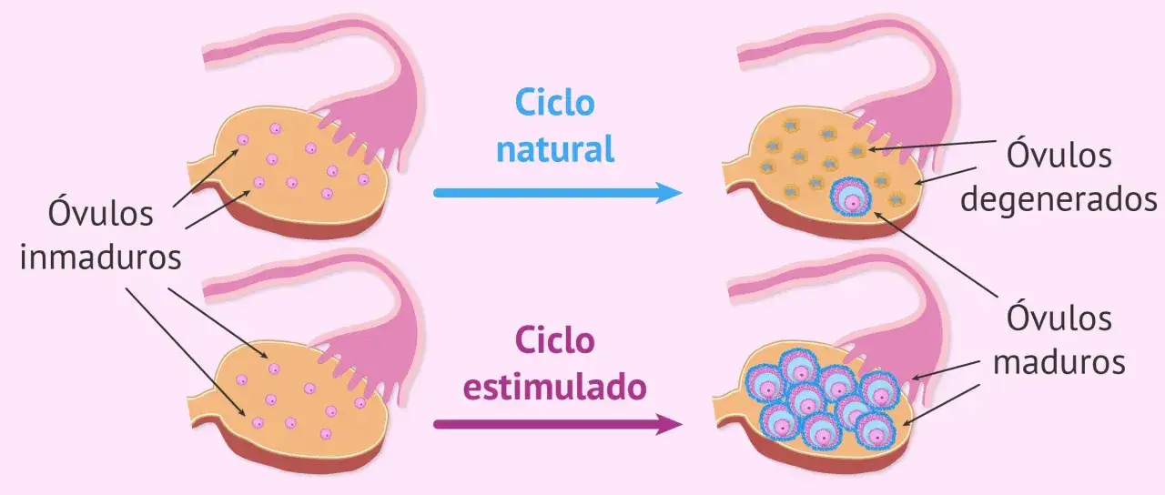 Zdjęcie &iquest;Buscas embarazo? Medicamentos para inducir ovulaci&oacute;n: Gu&iacute;a experta