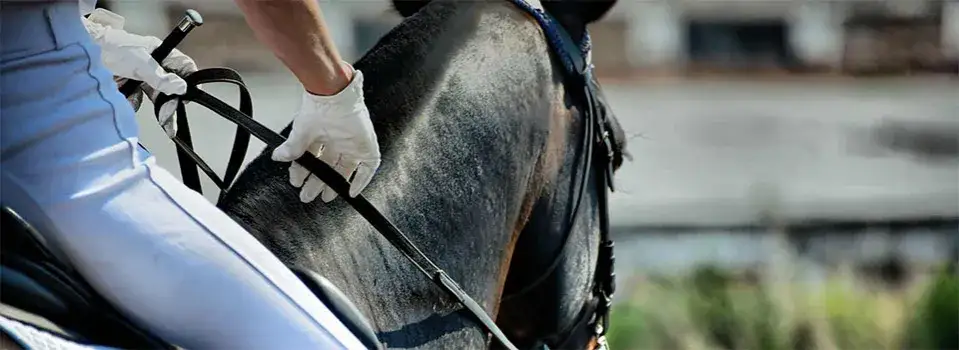 Zdjęcie Najlepsze stroje jeździeckie, które zapewnią komfort i bezpieczeństwo