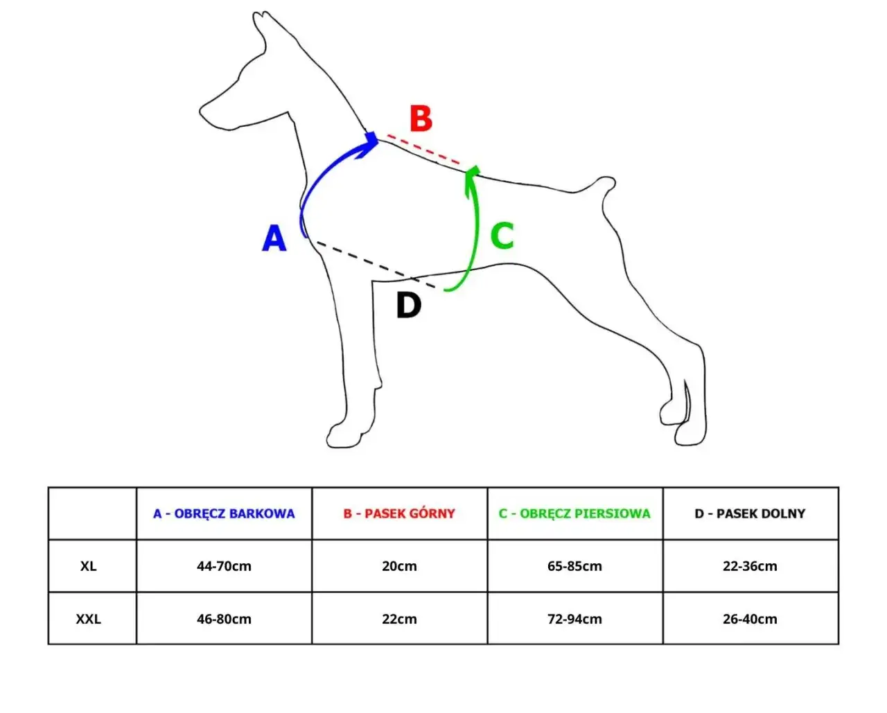Zdjęcie Jak dobrać szelki dla psa owczarka niemieckiego: kompletny poradnik 2025