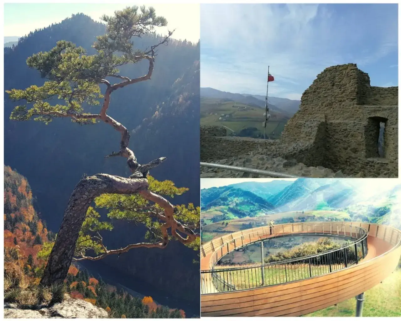 Zdjęcie Najciekawsze atrakcje w Nowym Sączu, które musisz zobaczyć