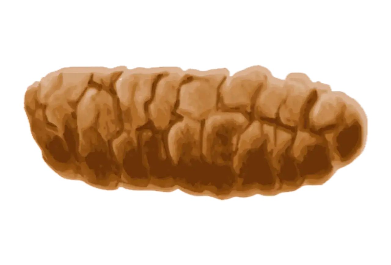 Zdjęcie Jak powinna wyglądać kupka niemowlaka karmionego piersią - co niepokoi?