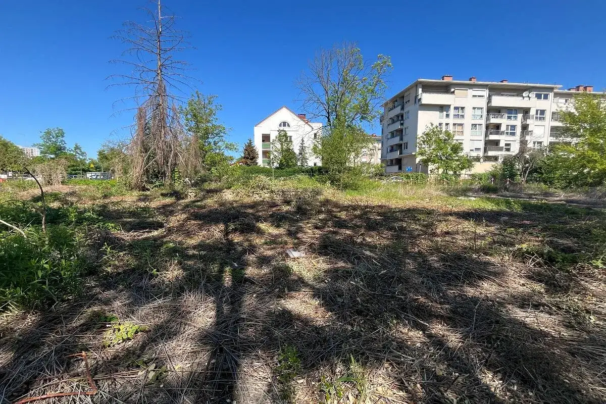 Zdjęcie Kto to jest deweloper? Poznaj jego rolę i obowiązki w budownictwie