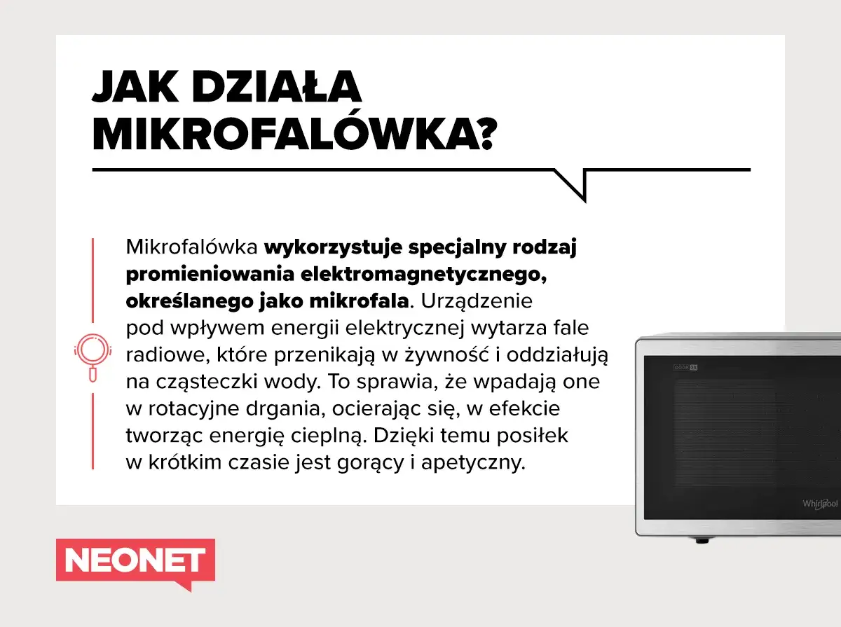 Zdjęcie Jak działa kuchenka mikrofalowa fizyka – zaskakujące tajemnice działania