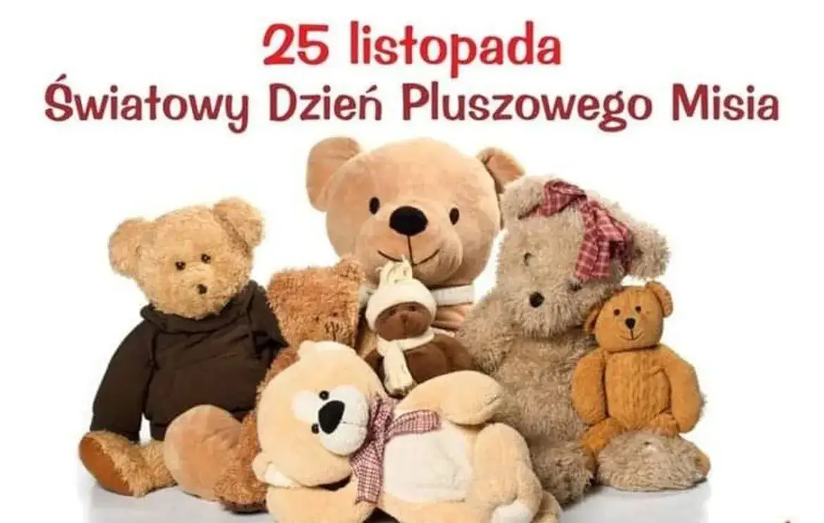 Zdjęcie Kiedy jest święto pluszowego misia? Odkryj jego wyjątkową historię