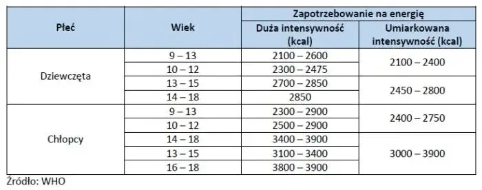 Zdjęcie Ile kalorii powinien jeść 15-latek: kompletny poradnik dla rodziców i młodzieży