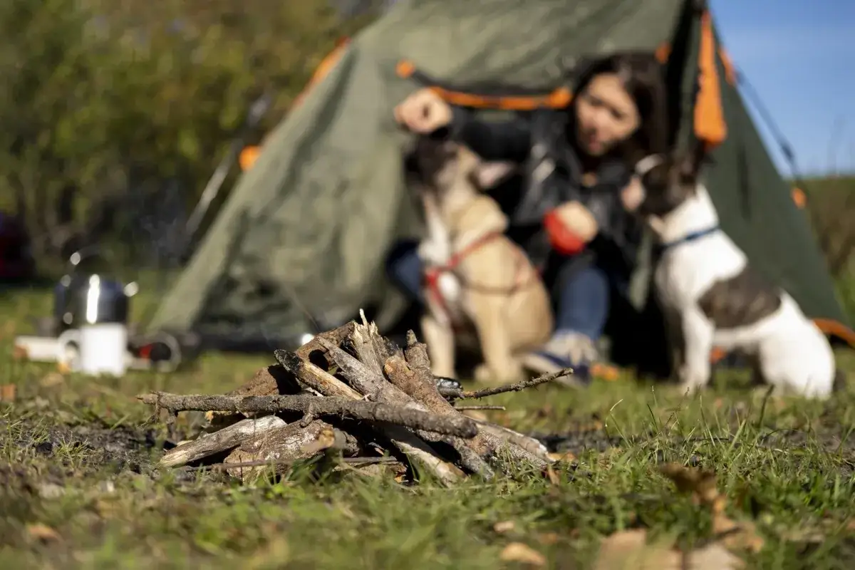 Zdjęcie Kemping czy camping - jakie są kluczowe różnice i co wybrać?