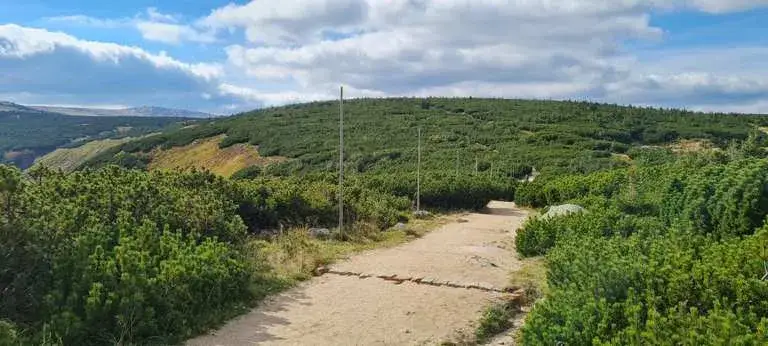 Zdjęcie Trasy rowerowe Dolny Śląsk – odkryj najpiękniejsze szlaki w regionie