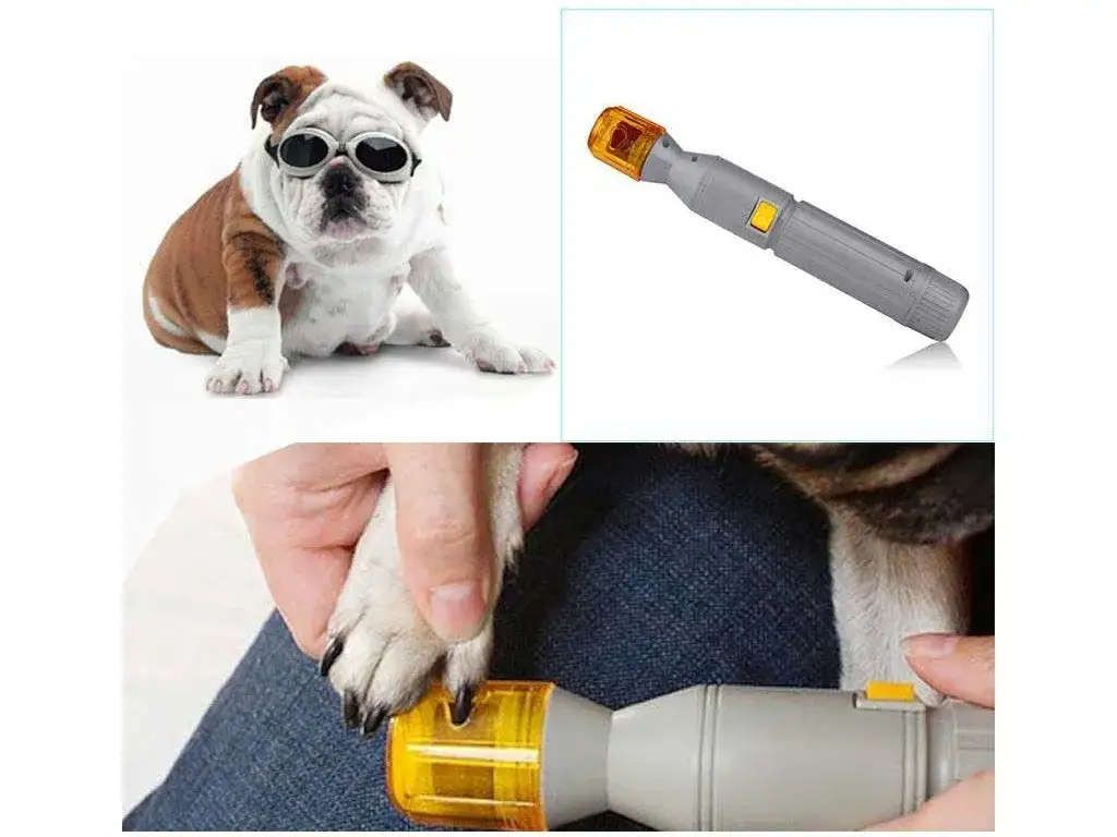 Zdjęcie Jak bezpiecznie używać frezarki do pazurów psa i uniknąć zranień w domu