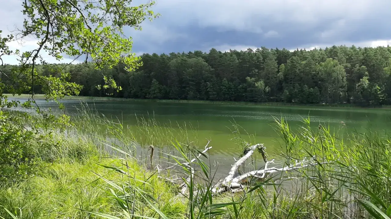 Zdjęcie Jak uzyskać zezwolenie na połów w jeziorze Urszulewskim bez problemów