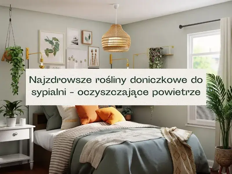 Zdjęcie Jakie kwiaty do sypialni poprawią Twój sen i jakość powietrza
