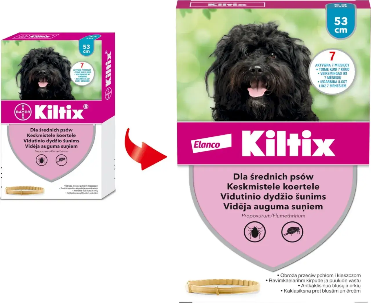 Zdjęcie Obroża przeciw kleszczom Kiltix czy Foresto – co wybrać dla psa?
