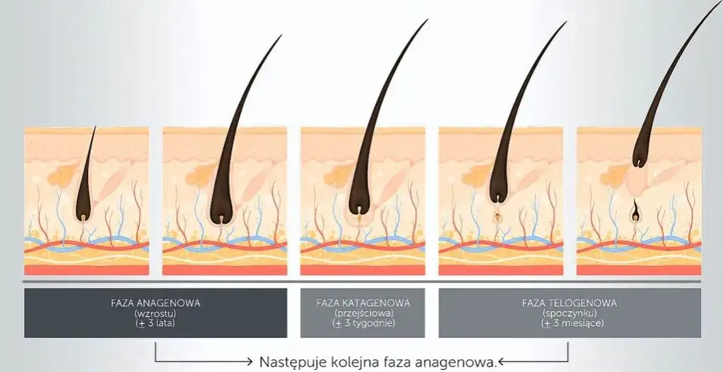 Zdjęcie Ile odrastają włosy po depilacji woskiem? Poznaj kluczowe fakty