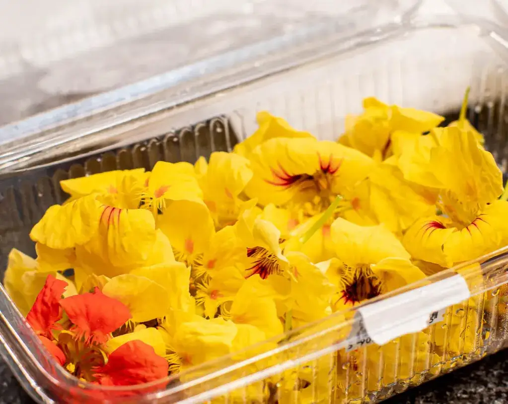 Zdjęcie Czym można ozdobić tort? 10 kreatywnych pomysłów na dekoracje