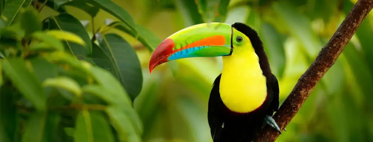 Zdjęcie Czy na Kostaryce jest bezpiecznie? Oto co musisz wiedzieć o ryzyku