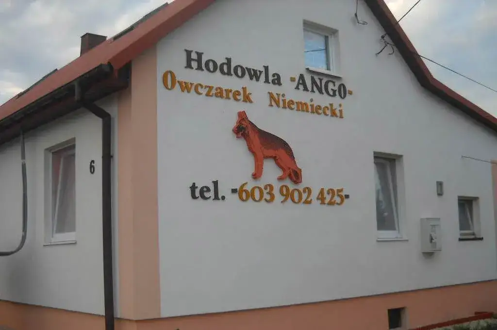 Zdjęcie Jaką farbą pomalować styropian, aby uniknąć uszkodzeń materiału?