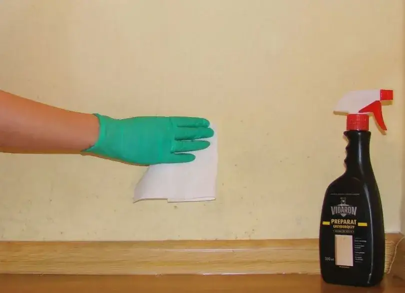 Zdjęcie Skuteczne sposoby jak usunąć grzyb ze ściany: poradnik krok po kroku