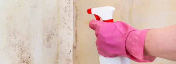 Zdjęcie Skuteczne sposoby na pozbycie się pleśni z szafek kuchennych