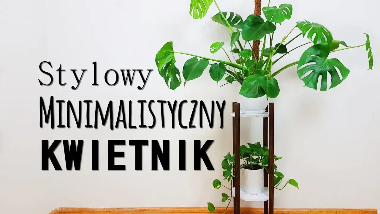 Zdjęcie Z czego zrobić kwietnik do domu – tanie i oryginalne pomysły na DIY