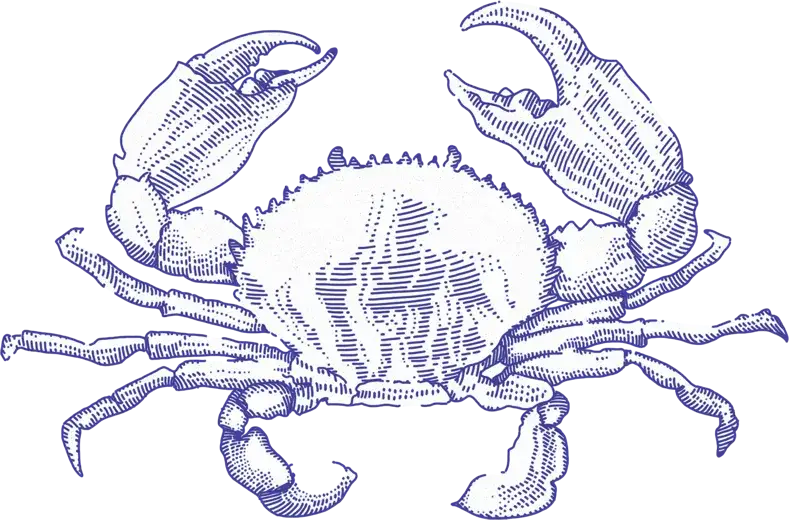 Zdjęcie Rak - Horoskop i Charakterystyka: Poznaj Cechy Tego Znaku Zodiaku