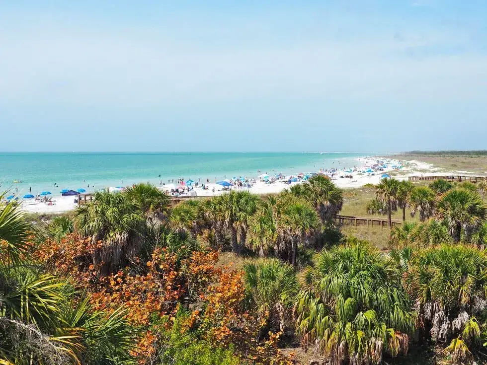 Zdjęcie Florida inesperada: Tu gu&iacute;a para un viaje inolvidable y diverso