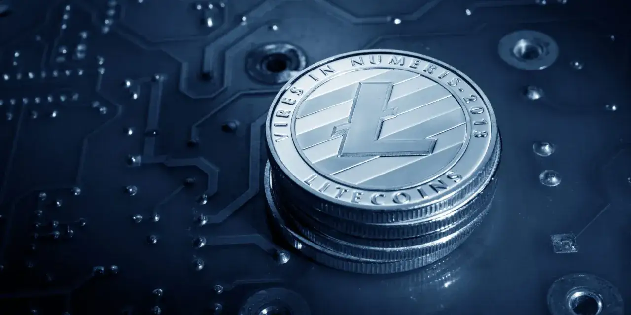 Zdjęcie Fork LTC - zobacz jak wpłynął na posiadaczy Litecoina i ich portfele