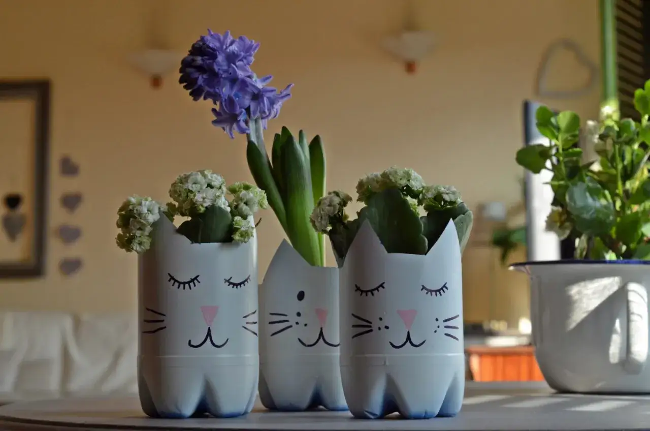 Zdjęcie Jak zrobić kwietnik z butelek plastikowych i zadbać o rośliny w nim