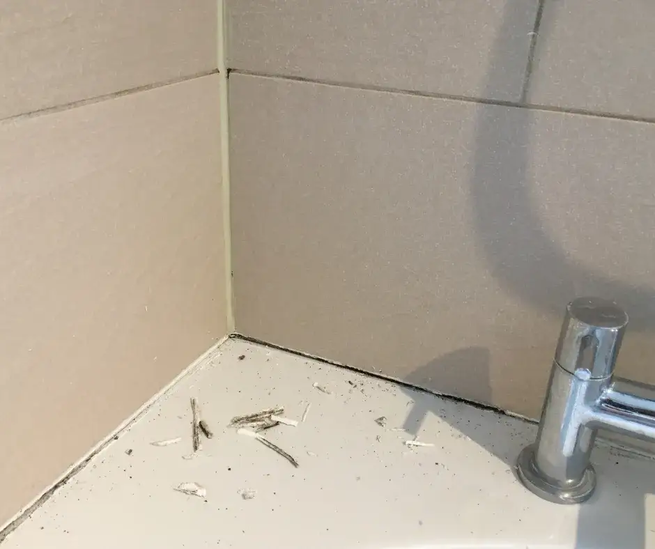 Zdjęcie Jak skutecznie rozpuścić silikon sanitarny – sprawdzone metody i porady