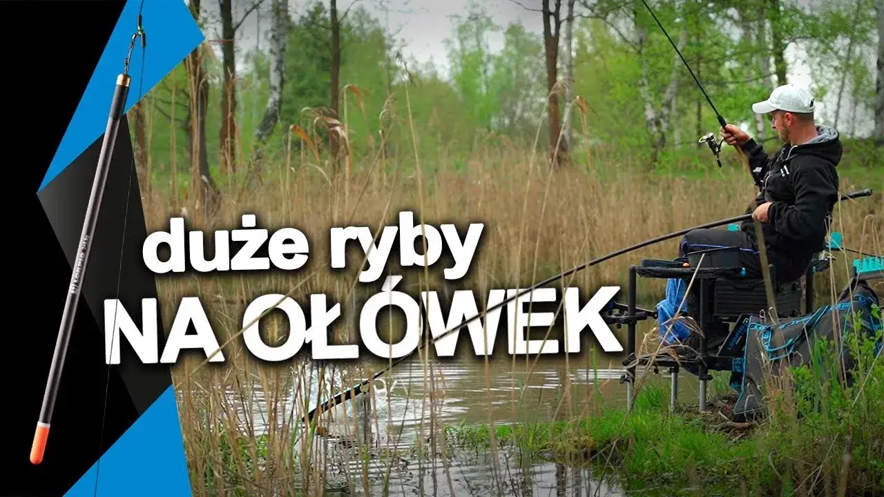 Zdjęcie Jak łowić duże ryby na spławik - sprawdzone techniki i sprzęt