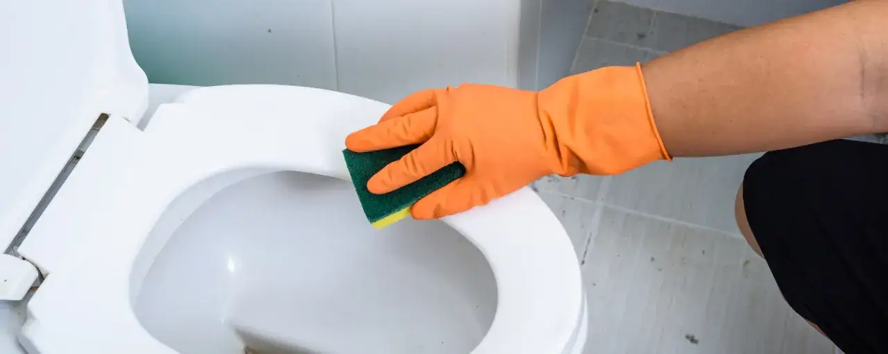 Zdjęcie Skuteczne metody czyszczenia muszli klozetowej - uniknij trudnych osadów