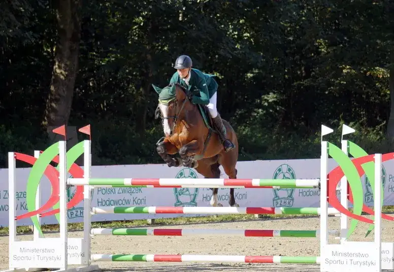 Zdjęcie Jeździectwo skoki: Kluczowe techniki i tajniki treningu skoczków