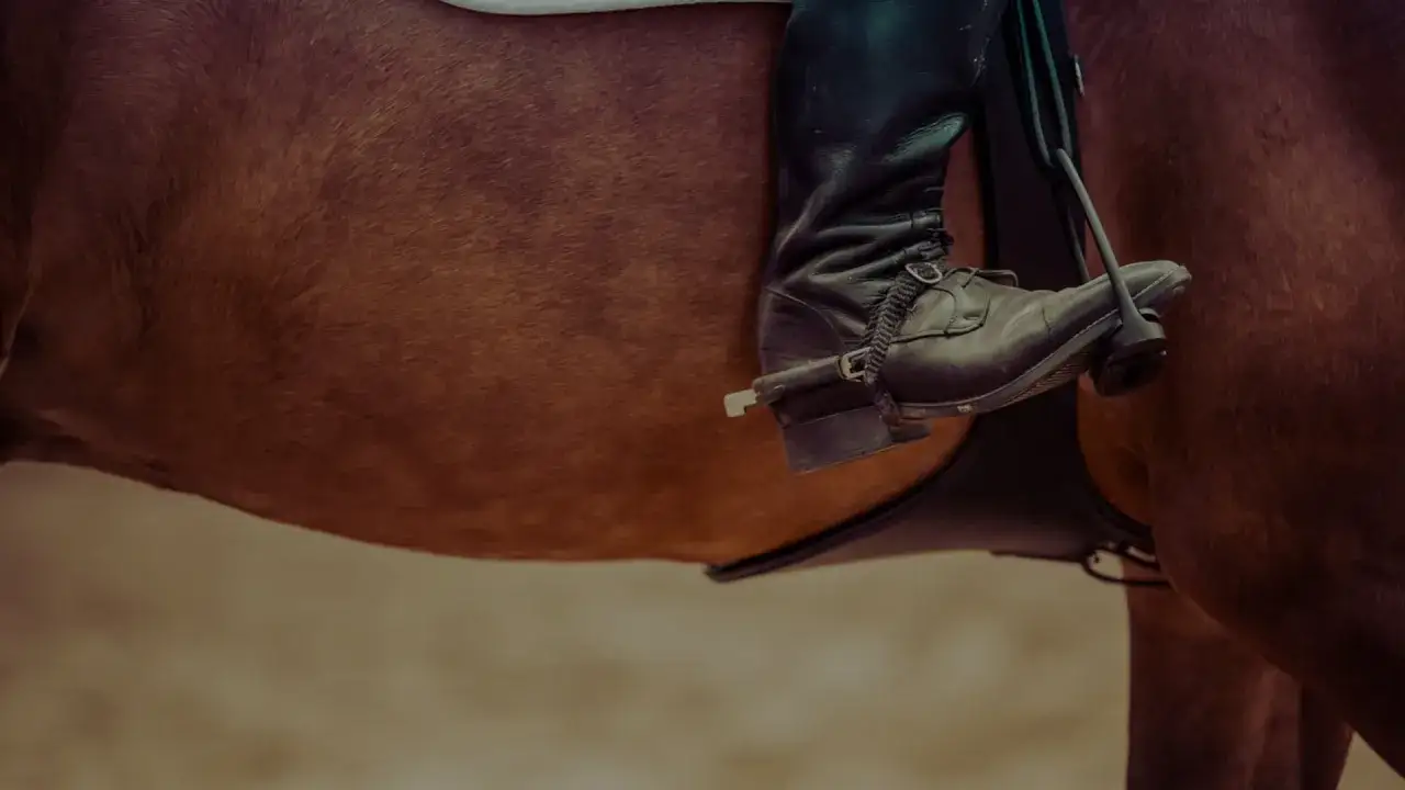 Zdjęcie Ile kosztuje budowa stajni? Poznaj ukryte wydatki i oszczędności