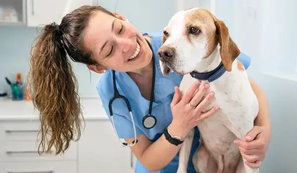 Zdjęcie Veterinario Bargas: Servicios de calidad para la salud de tus mascotas