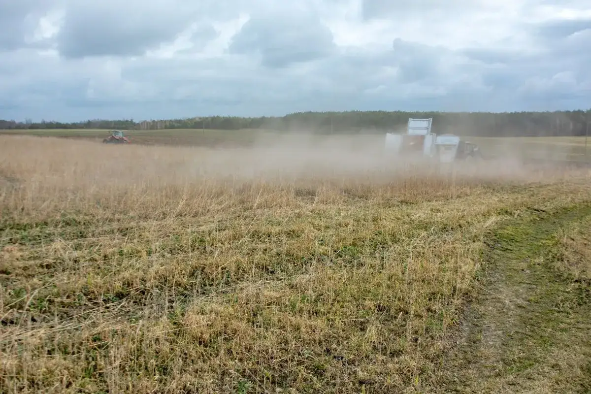 Zdjęcie Jakie wapno na dofinansowanie: uniknij błędów przy wyborze produktów
