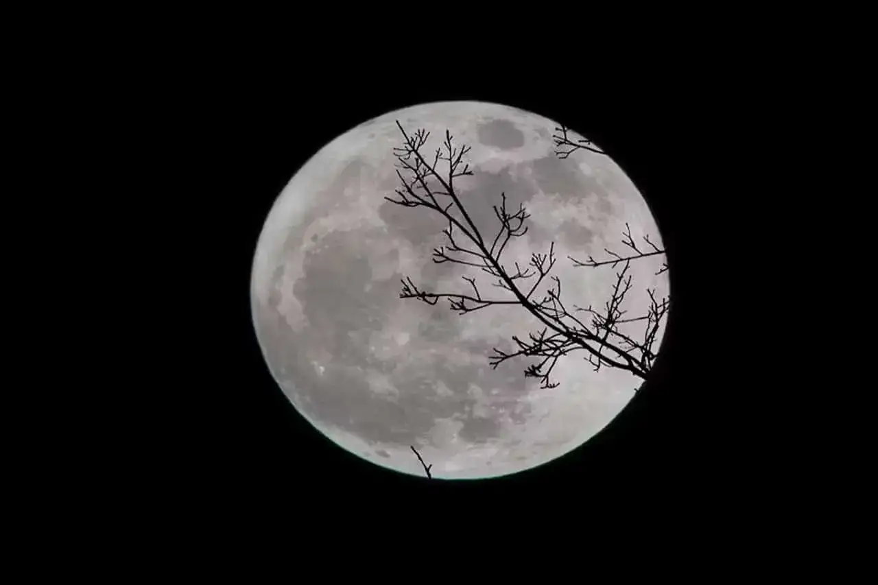 Zdjęcie Jak zrobić zdjęcie księżyca telefonem Samsung – proste triki i ustawienia