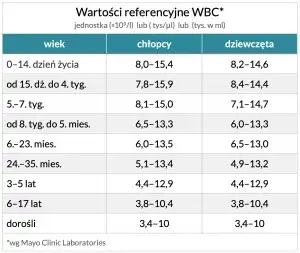 Zdjęcie Co oznacza WBC w badaniu krwi: Kluczowe informacje o leukocytach