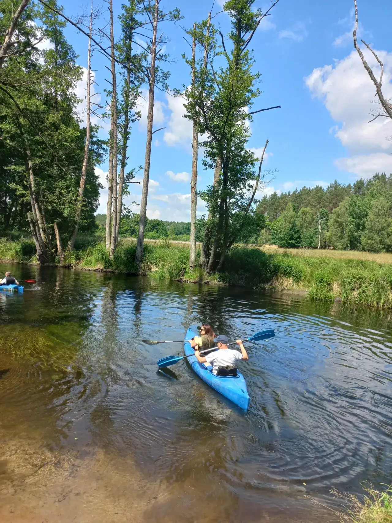 Zdjęcie Spływy kajakowe Drawa – rodzinne przygody w malowniczej scenerii