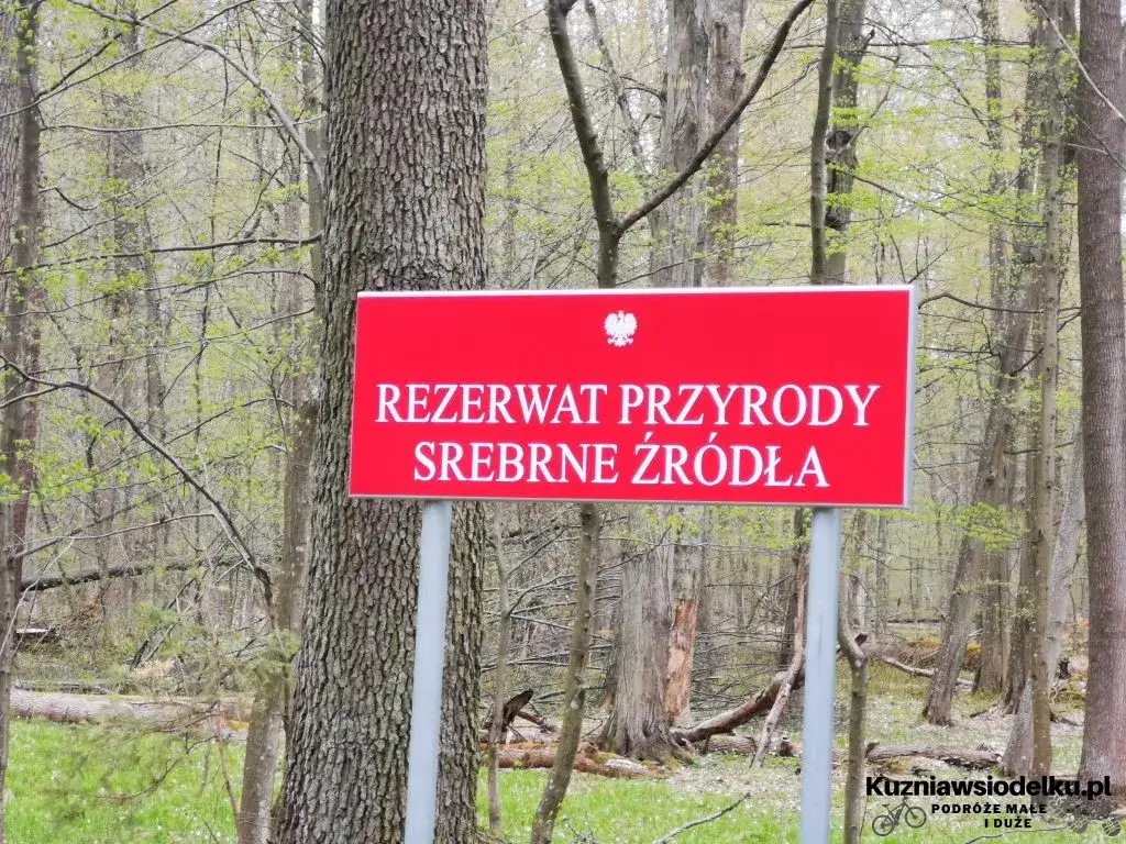 Zdjęcie Rezerwat Przyrody Srebrne Źródła – co warto wiedzieć przed wizytą?