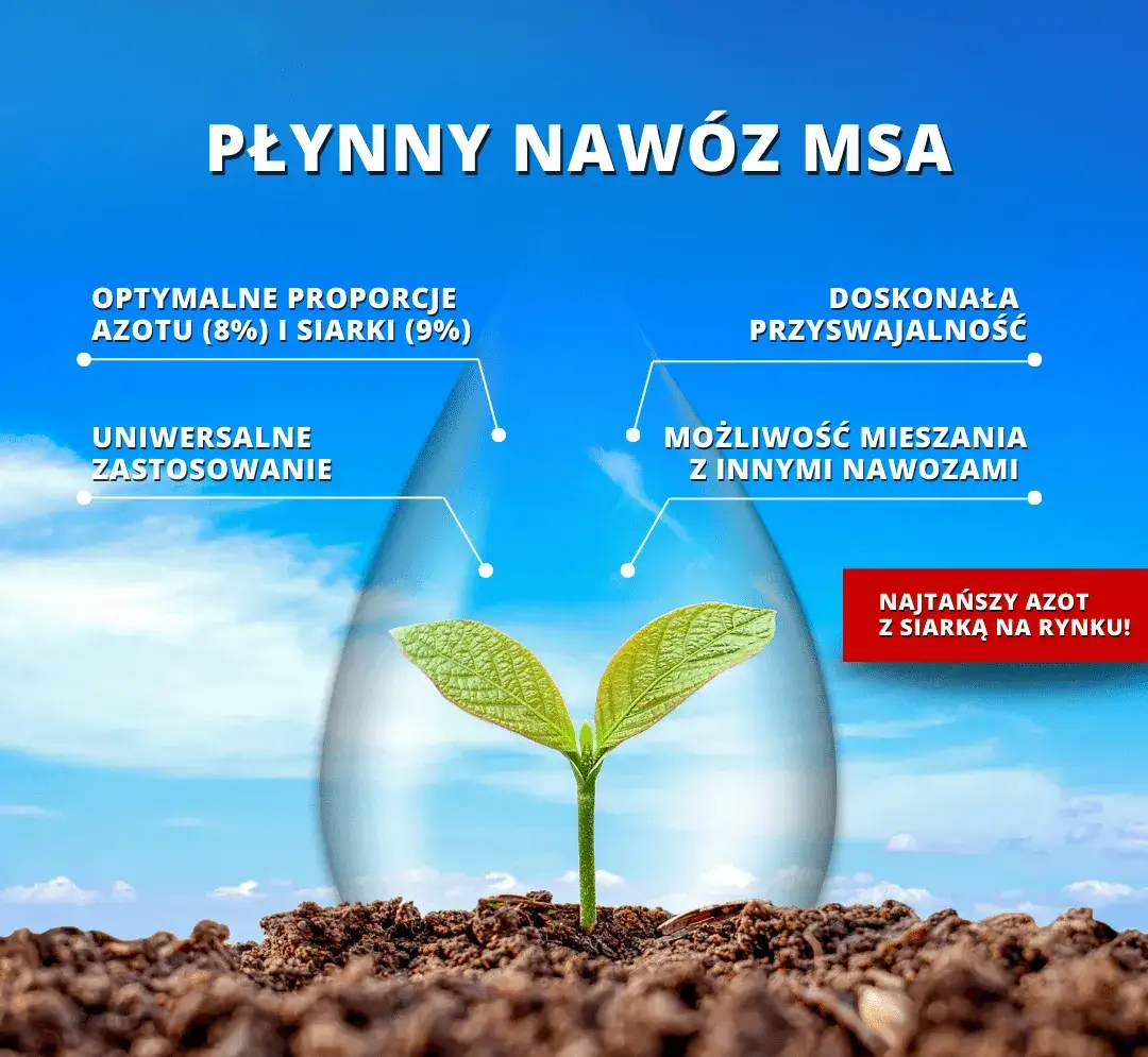 Zdjęcie Jakie nawozy pod zboża: Wybierz najlepsze dla zdrowych plonów