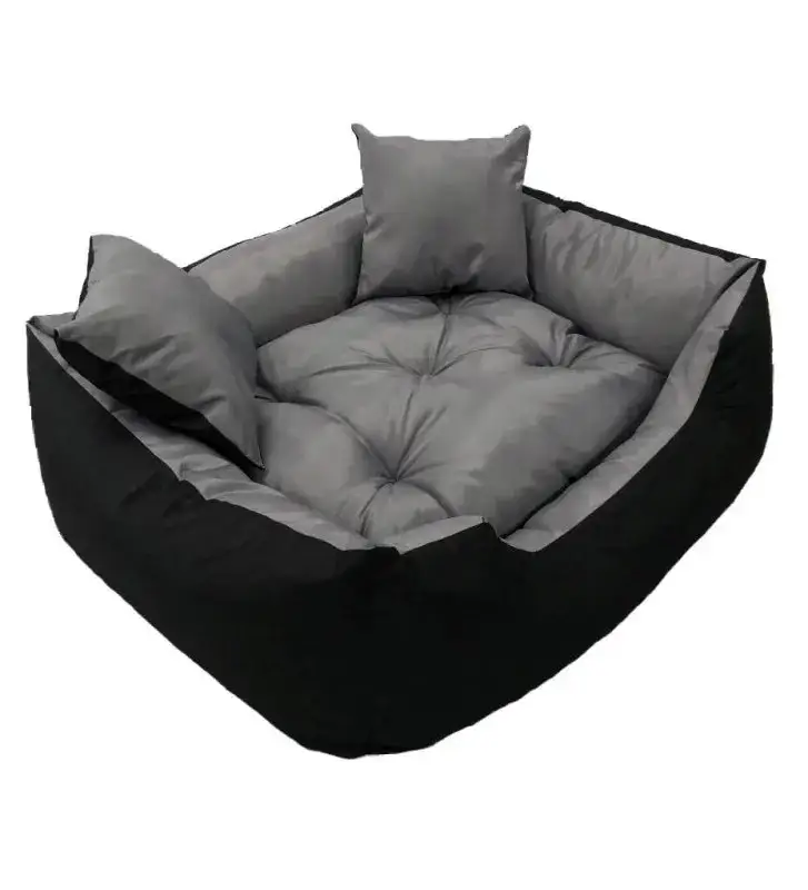 Zdjęcie Jakie legowisko dla shih tzu zapewni komfort i bezpieczeństwo?