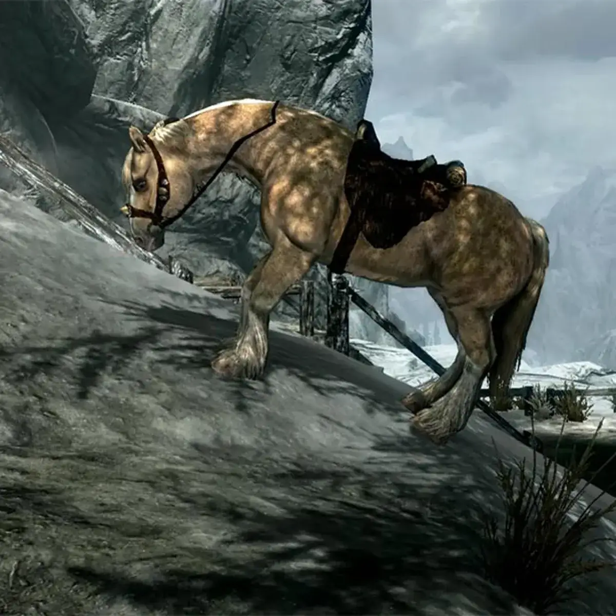 Zdjęcie Jak przywołać konia w grach – unikaj frustracji i zyskaj pomocnika