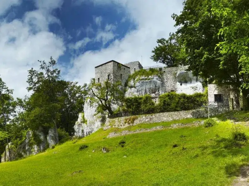 Zdjęcie Ruiny zamku Bąkowiec w Zawierciu - historia i tajemnice, które musisz poznać