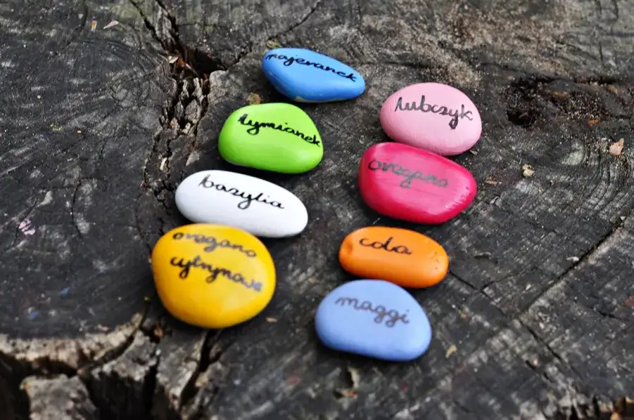 Zdjęcie Malowanie kamieni w ogrodzie: jak wybrać farbę i zabezpieczyć efekt?