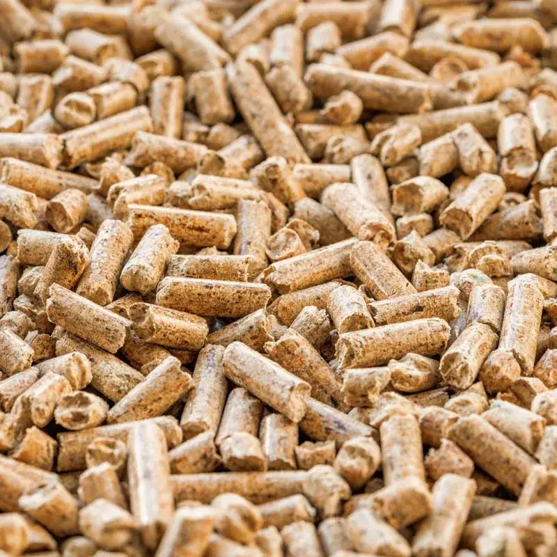 Zdjęcie Czy pellet to biomasa? Zaskakujące fakty o ekologicznych źródłach energii