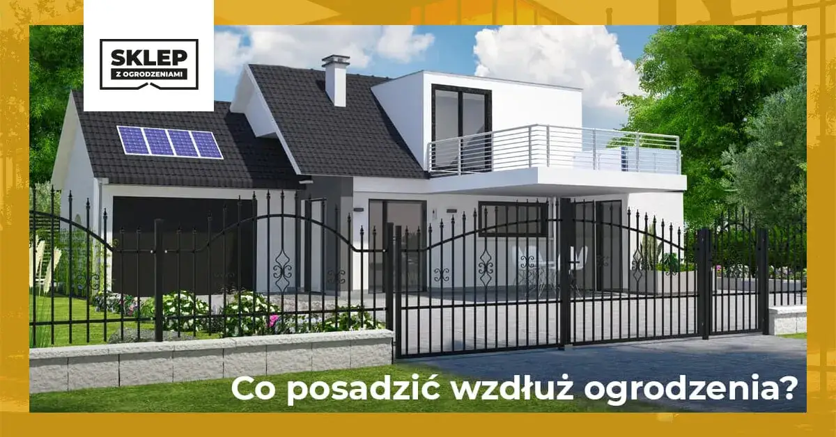 Zdjęcie Czym obsadzić działkę przy płocie, aby uzyskać piękny efekt i prywatność
