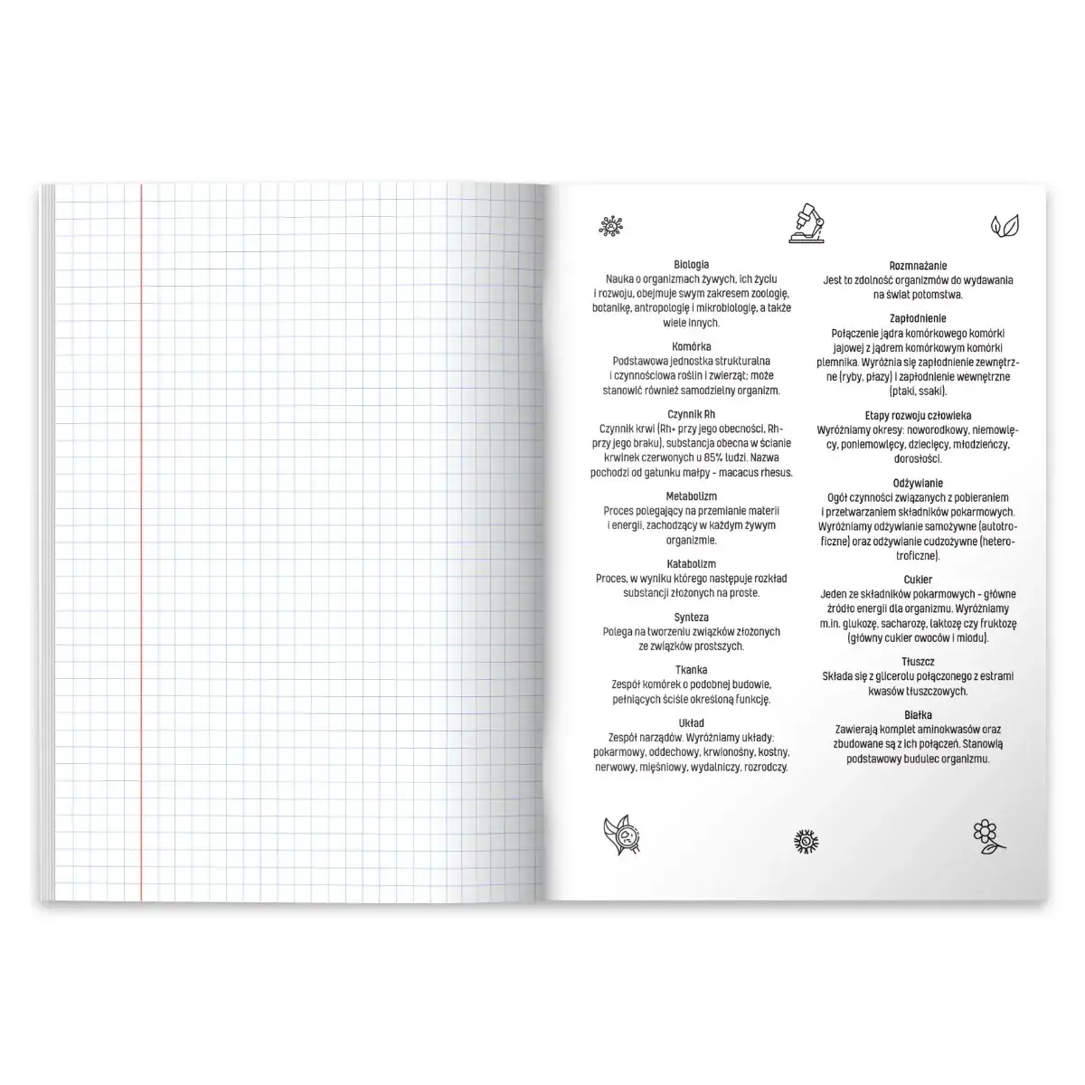 Zdjęcie Najlepszy zeszyt do rozszerzonej biologii, który zapewni sukces w maturze