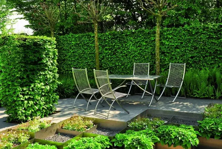 Zdjęcie Jak osłonić taras roślinami: 8 skutecznych sposobów na zieloną oazę