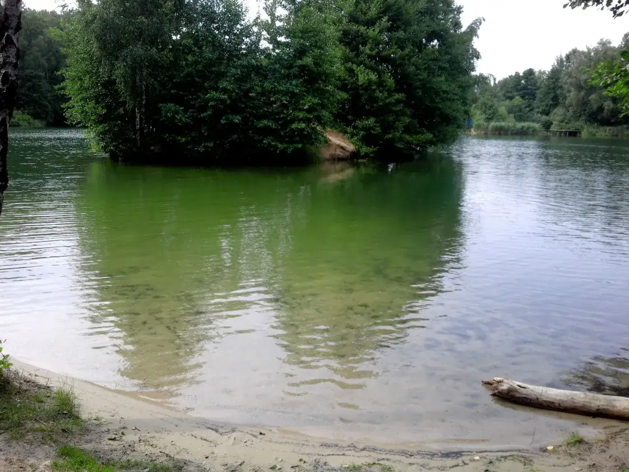 Zdjęcie Jezioro Czechowickie: Idealne miejsce na relaks i wędkowanie w Gliwicach