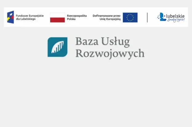 Zdjęcie Baza usług rozwojowych: jak łatwo uzyskać dofinansowanie na rozwój