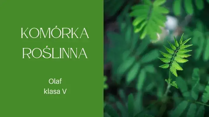 Zdjęcie Co to jest komórka roślinna? Odkryj jej tajemnice i funkcje