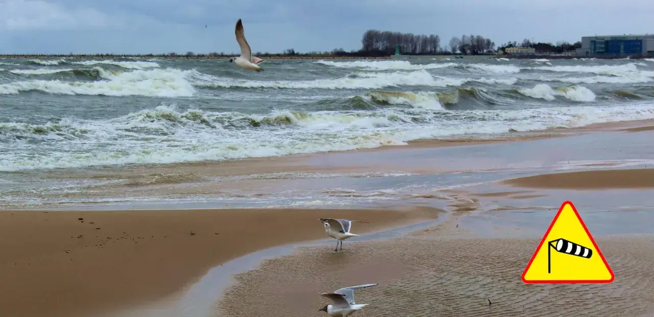 Zdjęcie Kiedy jest odpływ na Bałtyku? Sprawdź, by uniknąć rozczarowania